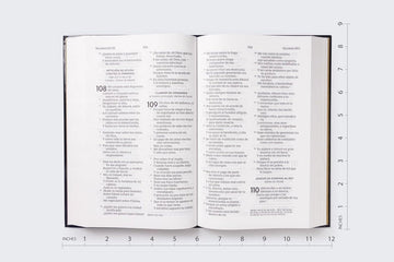 Biblia Reina-Valera 1960, Palabras De Jesús En Rojo, Letra 10 Pt, 14×22, Tapa Dura, Negro