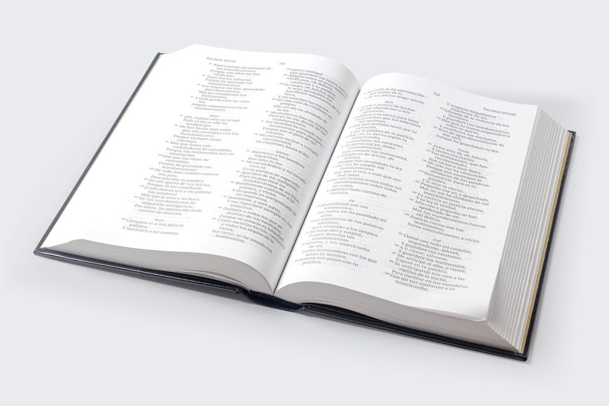 Biblia Reina-Valera 1960, Palabras De Jesús En Rojo, Letra 10 Pt, 14×22, Tapa Dura, Negro