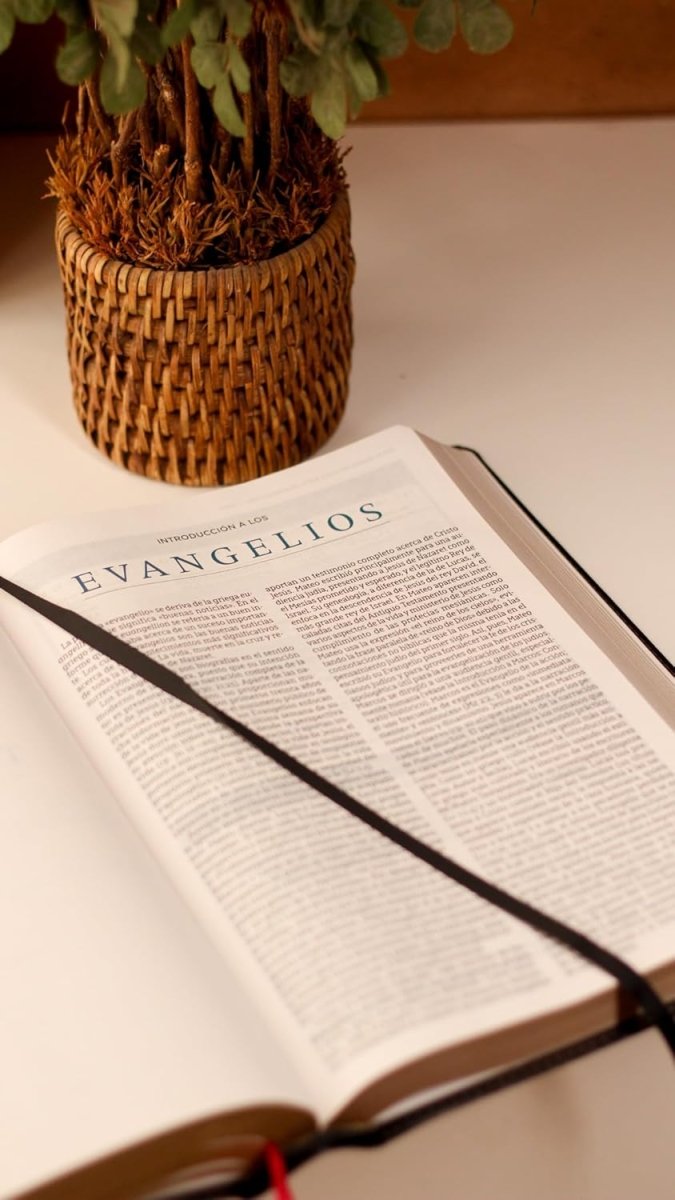 Biblia Nueva Biblia De Las Américas (NBLA) De Estudio MacArthur, Letra 11 Pt, 20×29, Tapa PU, Negro