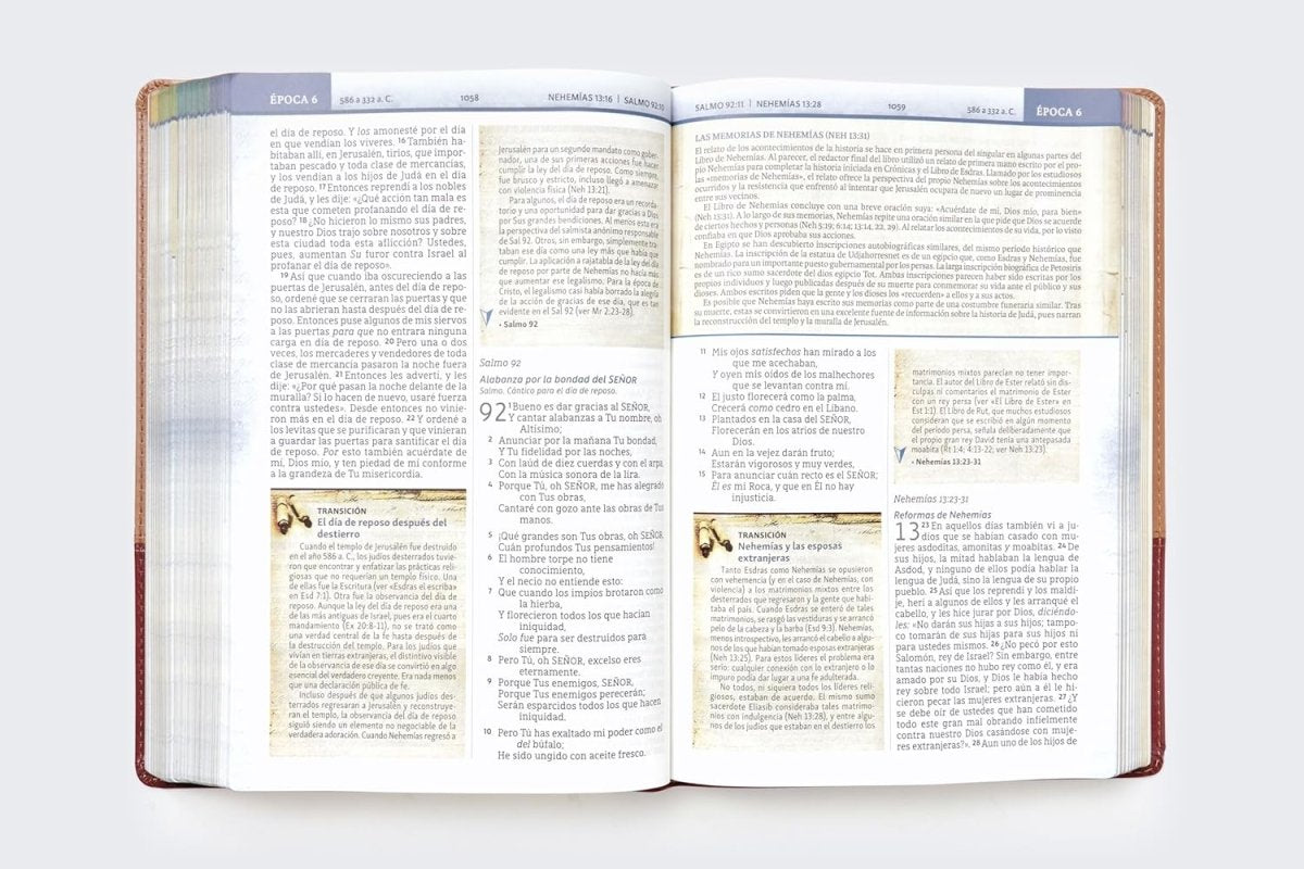 Biblia Nueva Biblia De Las Américas (NBLA) Cronológica De Estudio, Letra 9 Pt, 18×25, Tapa PU, Dos Tonos, Café