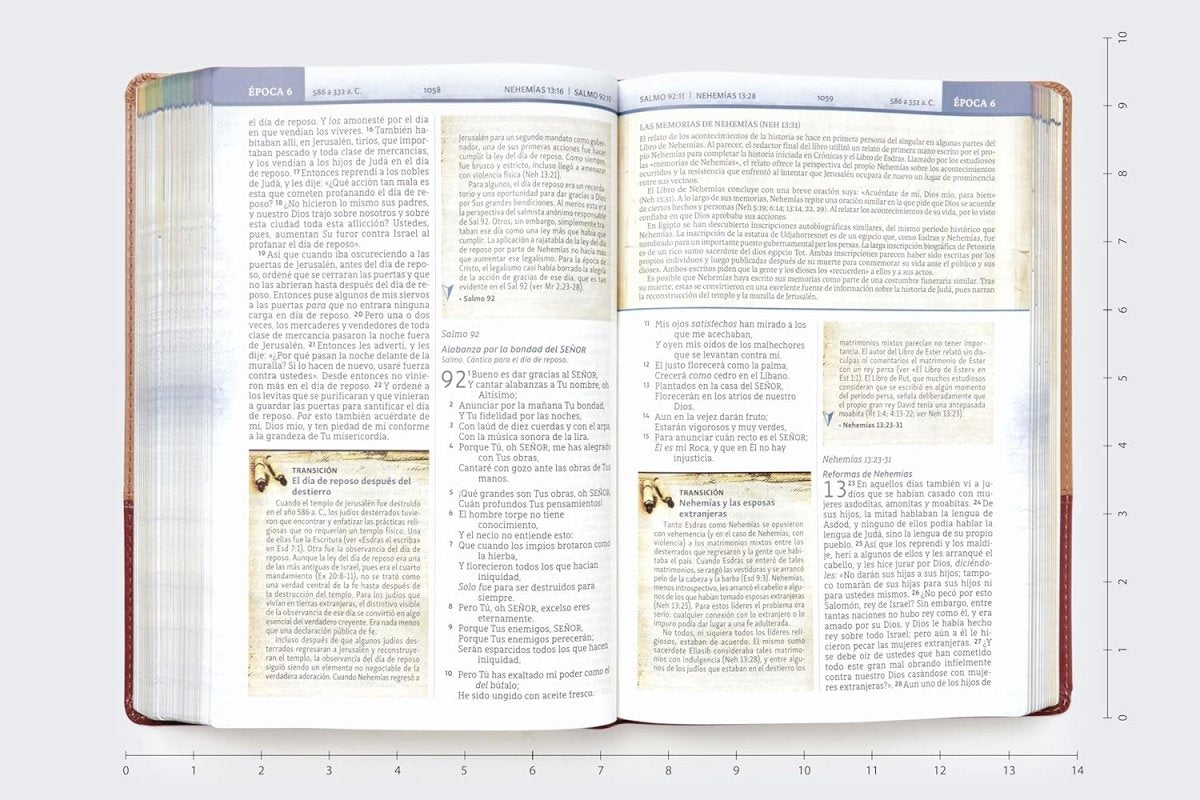 Biblia Nueva Biblia De Las Américas (NBLA) Cronológica De Estudio, Letra 9 Pt, 18×25, Tapa PU, Dos Tonos, Café