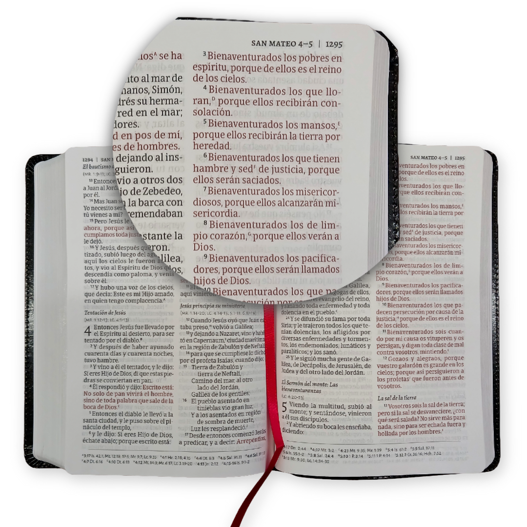Biblia Del Ministro Edición Ampliada RV1960 Negra - B&H - Lifeway