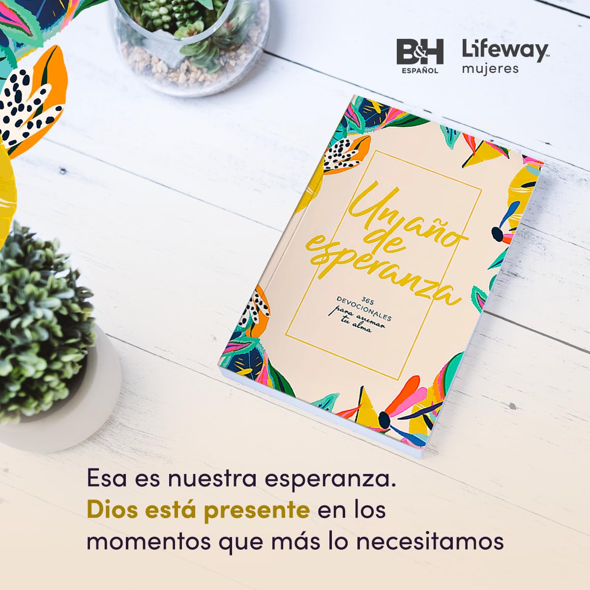 Un Año De Esperanza