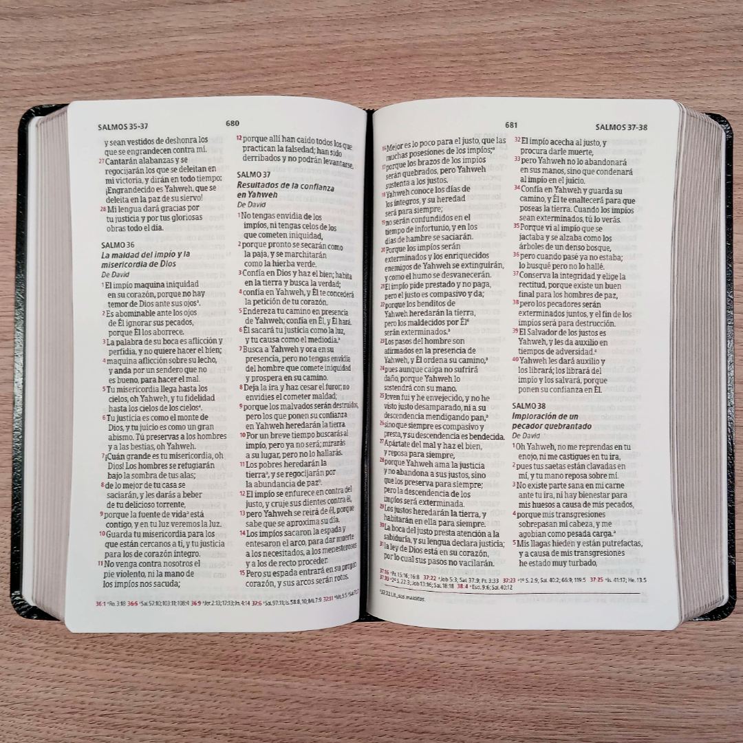 Biblia Peshitta Imitacion Piel Y Palabras De Jesús En Rojo