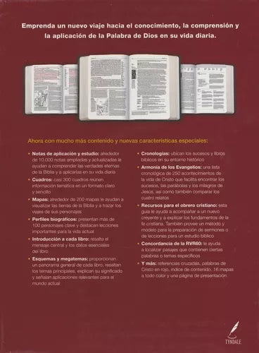 Biblia De Estudio Diario Vivir Cafe Dos Tonos