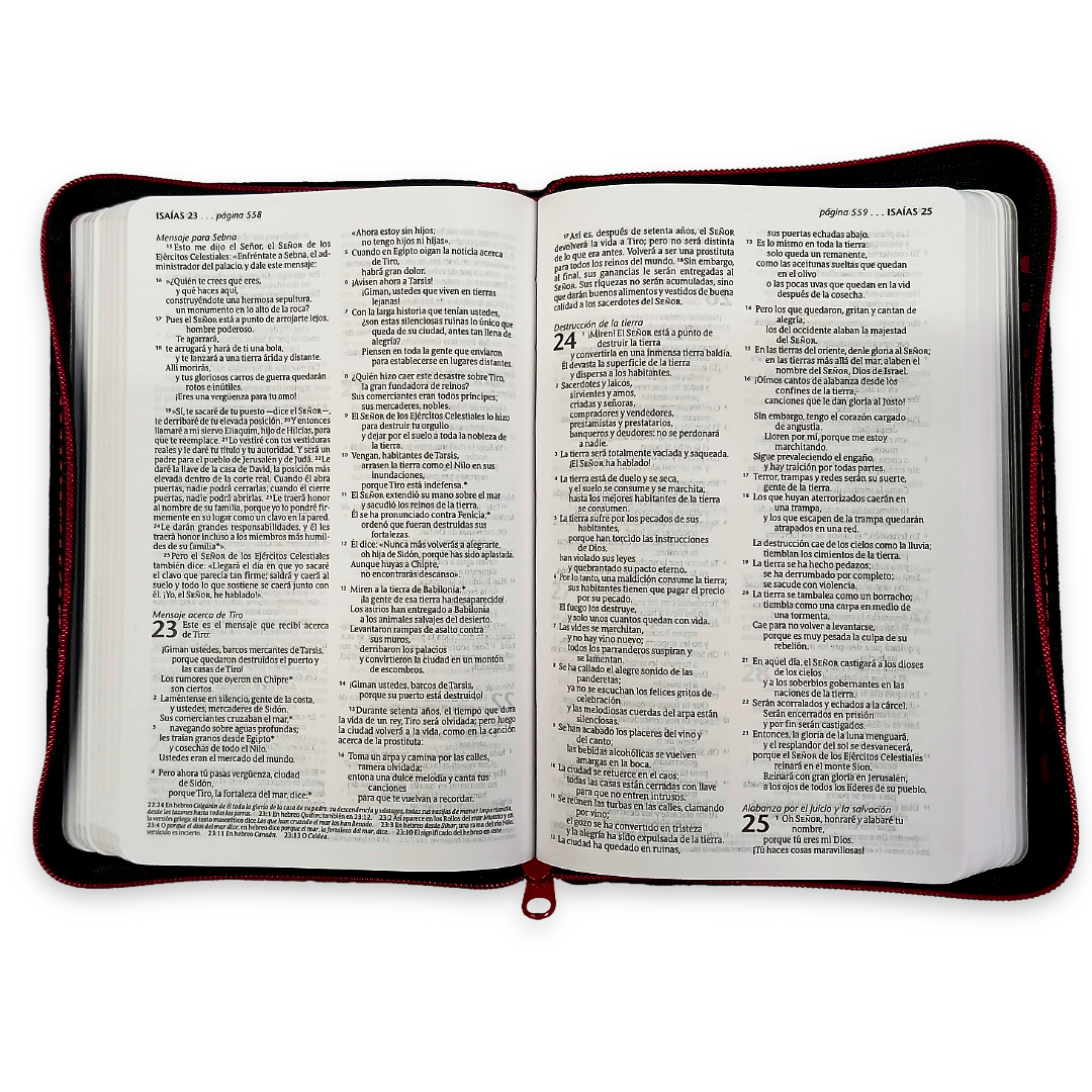 Biblia Nueva Traducción Viviente Letra Compacta Canto plateado Cierre Gris