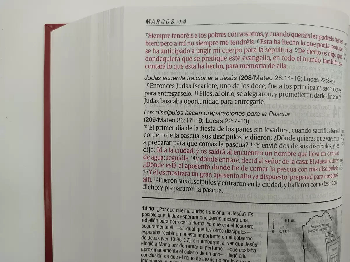 Biblia Estudio Diario Vivir Letra Grande Reina Valera 1960