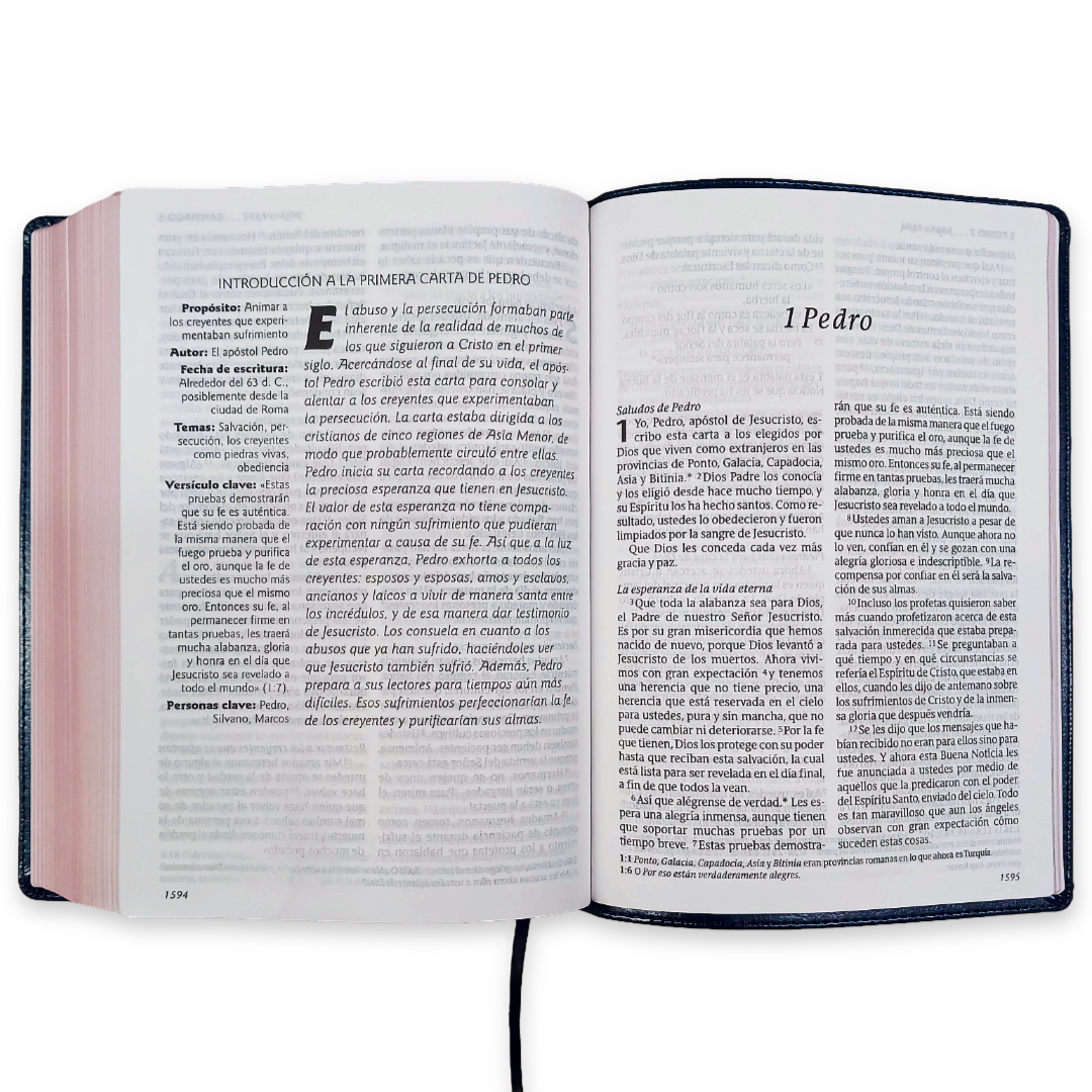 Biblia Nueva Traducción Viviente Letra Mediana PJR Edición Clásica Azul
