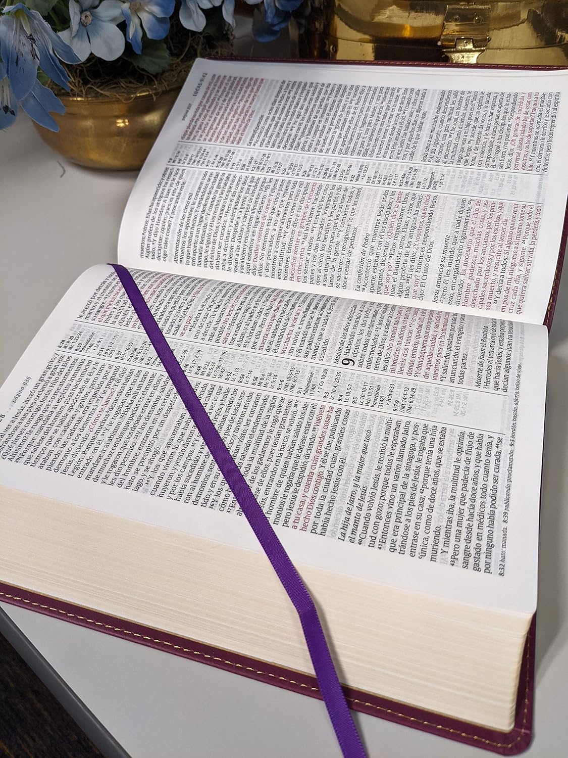Biblia Reina Valera 1960 Letra Compacta PJR Tapa PU Ciruela
