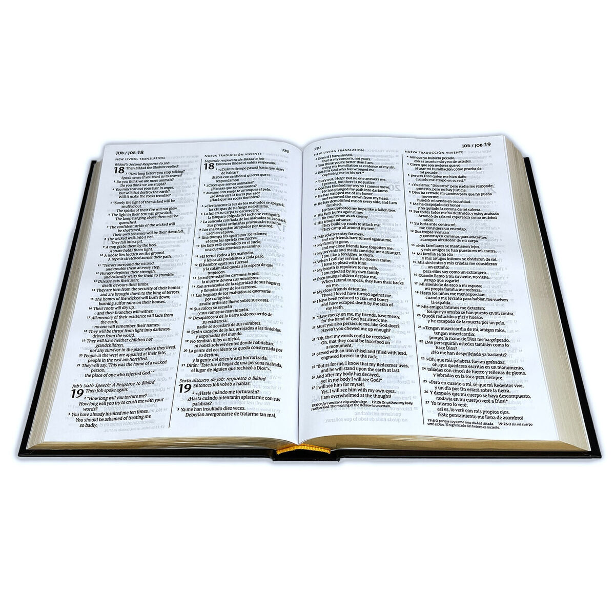 Biblia Nueva Traducción Viviente Bilingue Ingles - Español