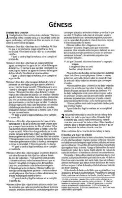 Biblia Nueva Traducción Viviente economica Azul - Misionera