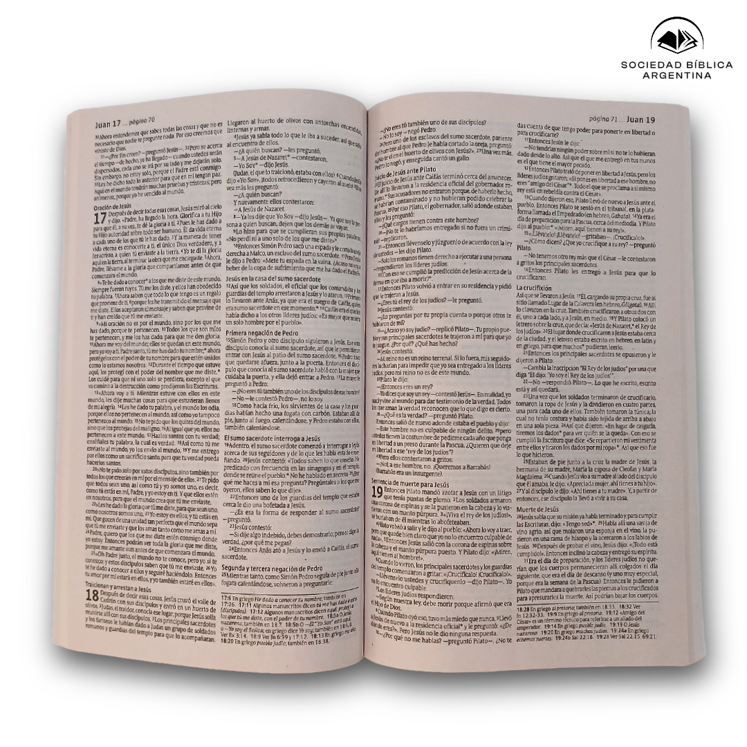 Nuevo Testamento Nueva Traducción Viviente Económica Tapa Rustica Verde Hojas