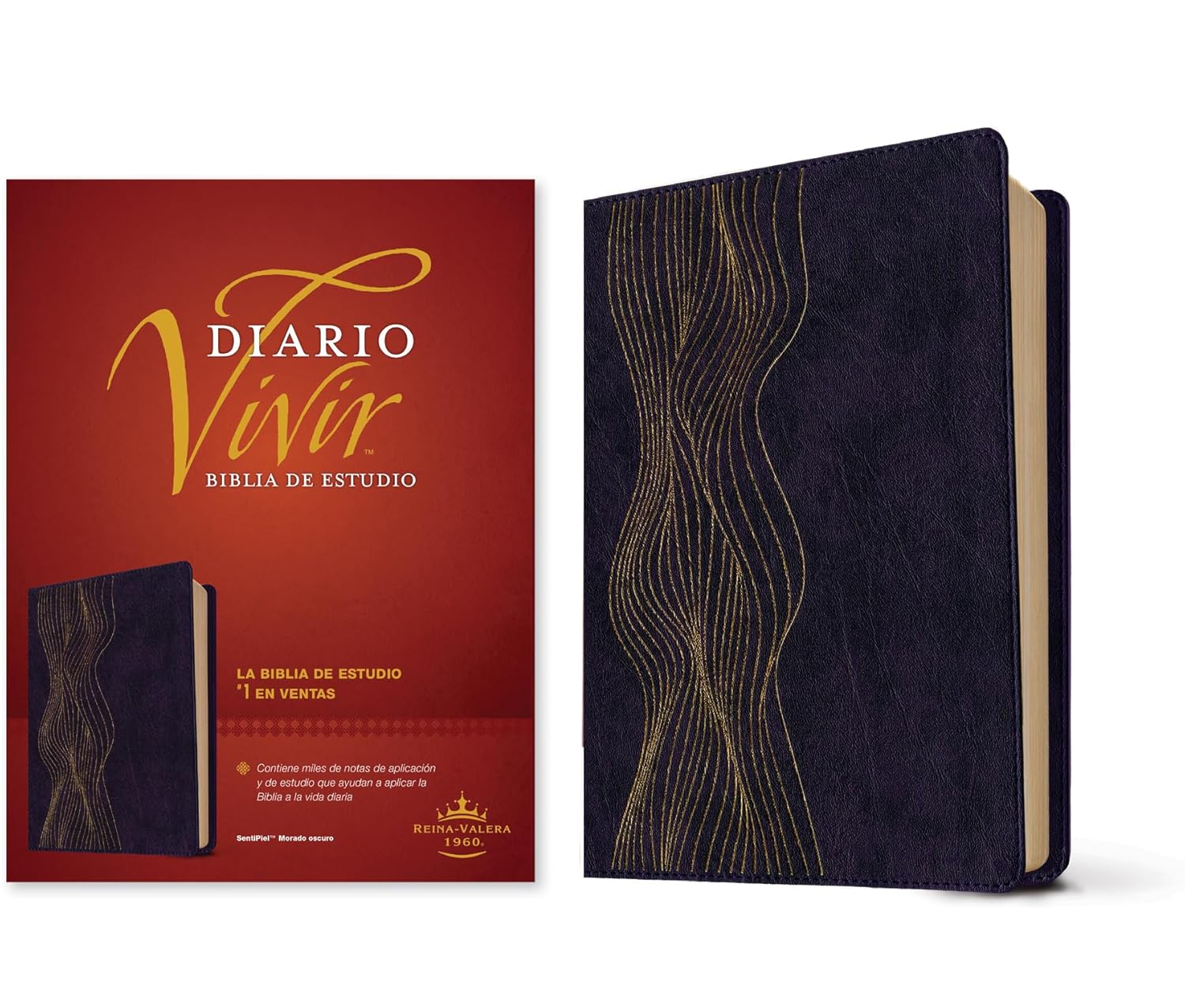 Biblia Reina Valera 1960 Estudio Diario Vivir Letra Mediana PJR Morado