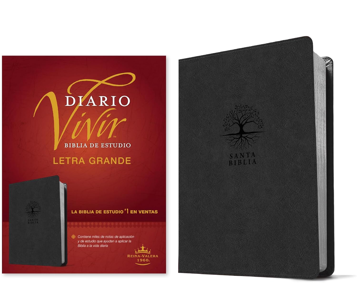 Biblia Reina Valera 1960 Estudio Diario Vivir Letra Mediana PJR Carbon