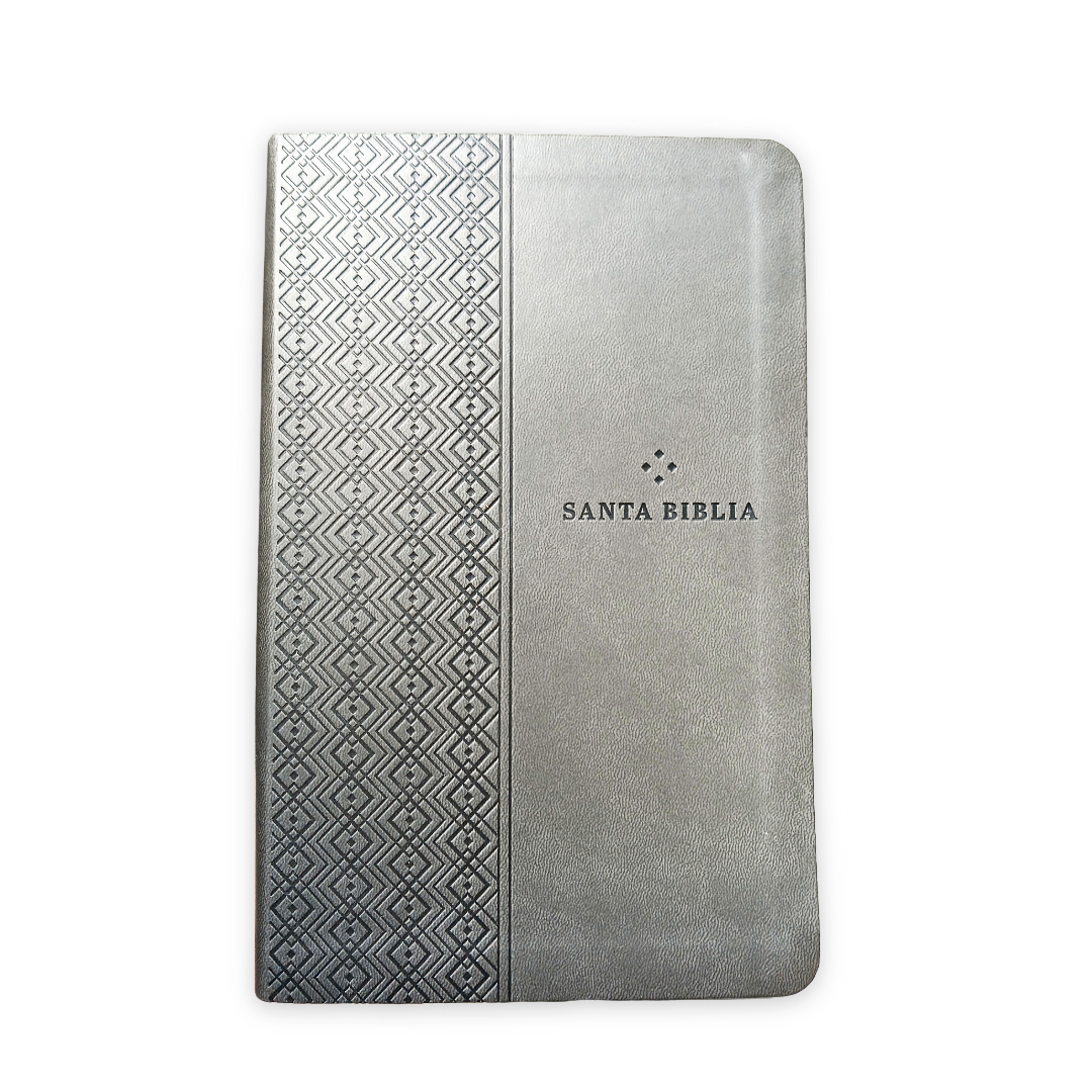 Biblia Nueva Traducción Viviente Símil piel Gris