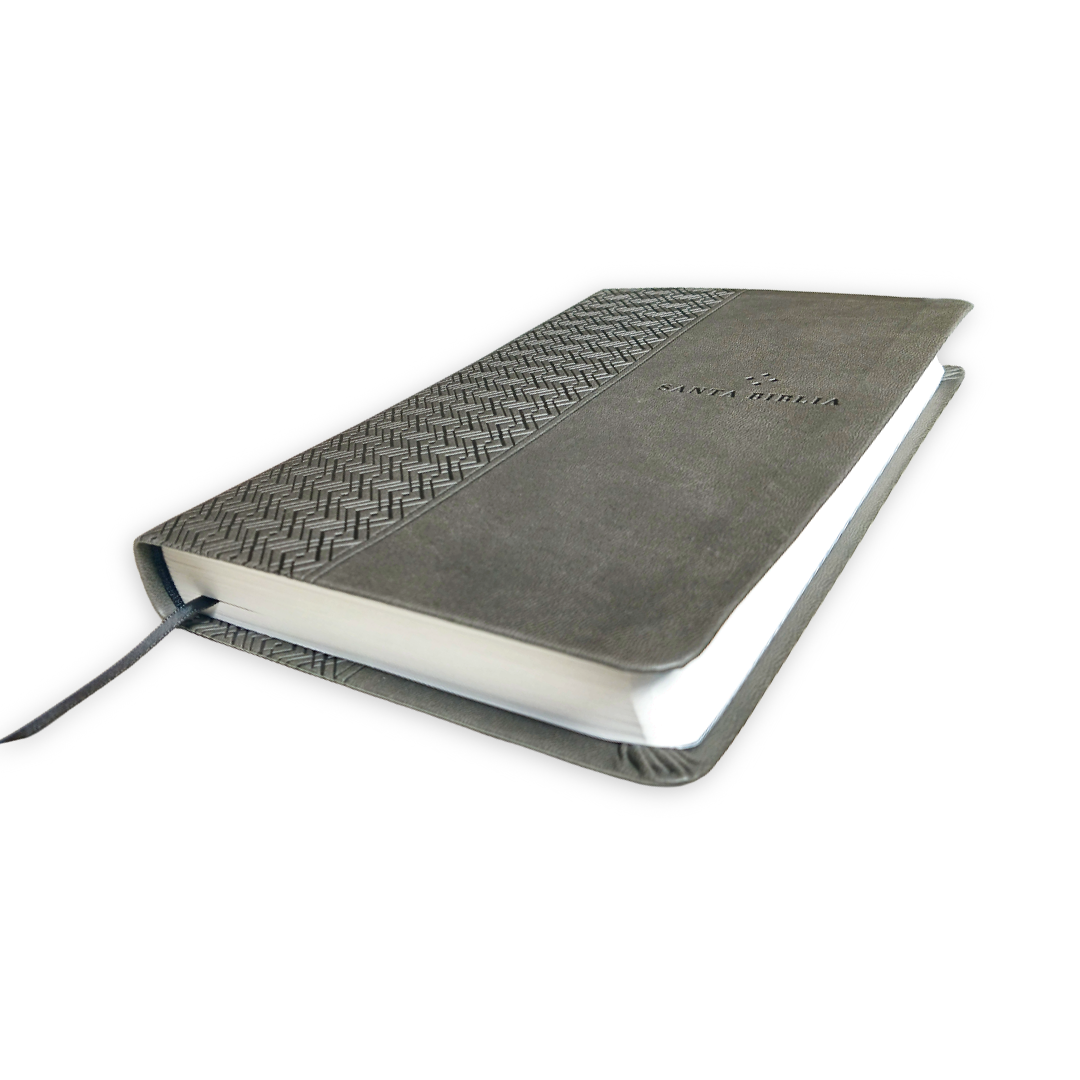 Biblia Nueva Traducción Viviente Símil piel Gris