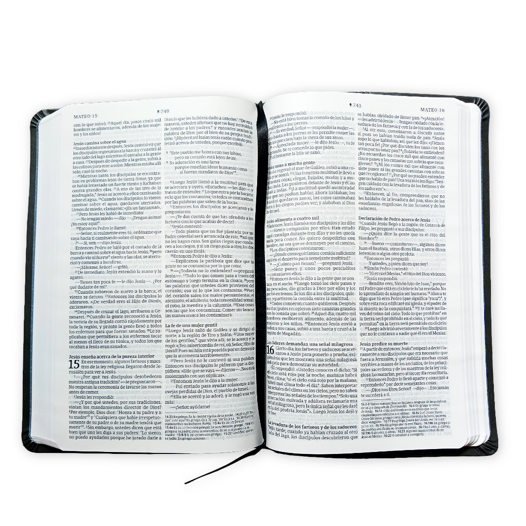 Biblia Nueva Traducción Viviente Símil piel Gris