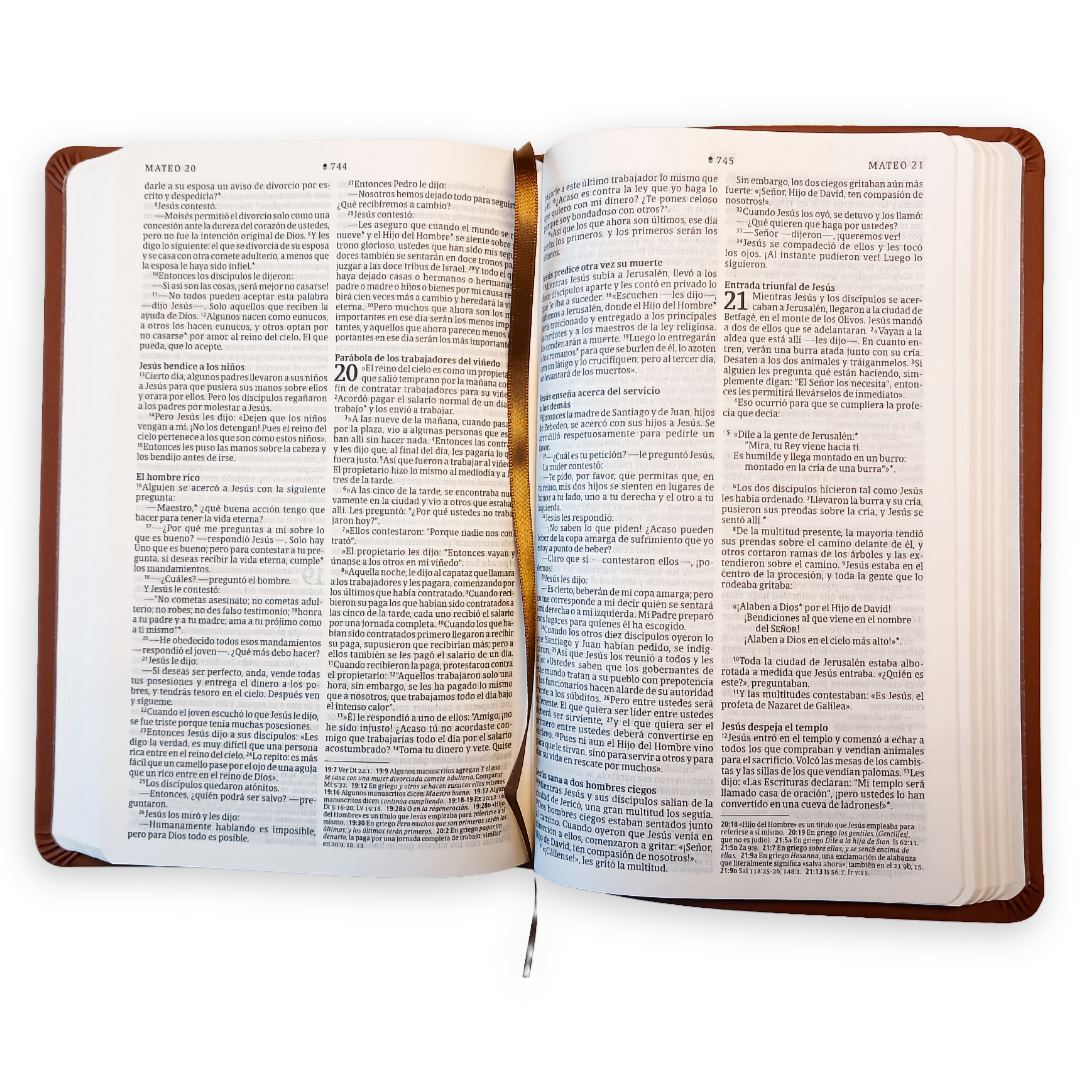 Biblia Nueva Traducción Viviente Símil piel Café