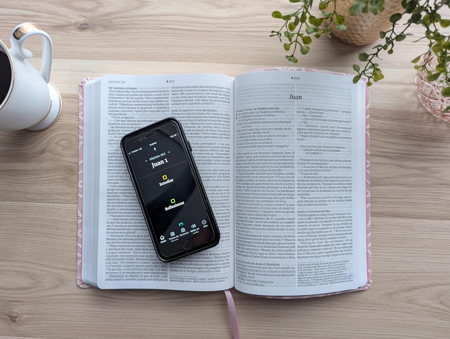 Biblia Nueva Traducción Viviente Filament Letra Grande Símil Piel Rosa