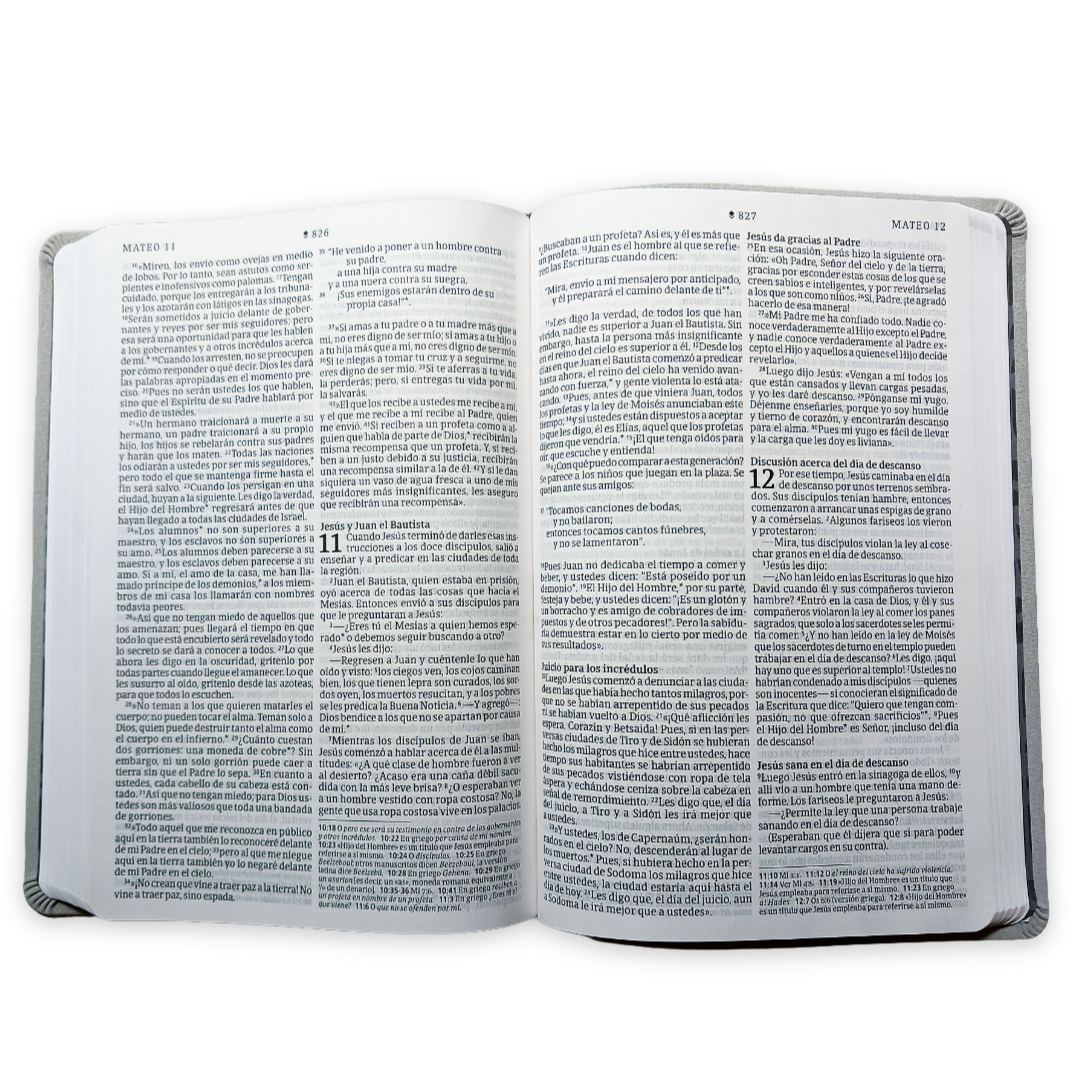 Biblia Nueva Traducción Viviente Letra Grande Simil piel Gris
