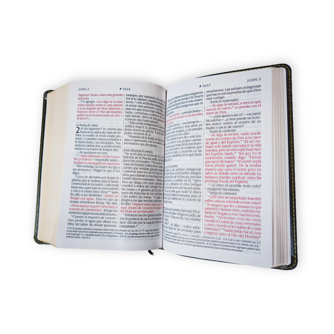 Biblia Nueva Traducción Viviente Letra Gigante Símil piel  Gris