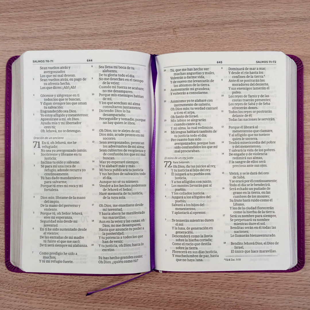 Biblia Reina-Valera 1960 (RVR60) Mis Quince