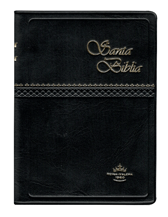 Biblia Reina Valera 1960 Tapa Vinilica Color Negro