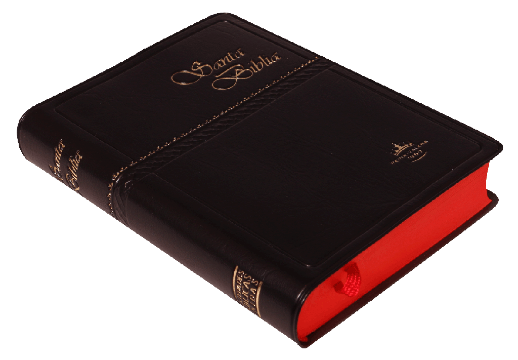 Biblia Reina Valera 1960 Tapa Vinilica Color Negro