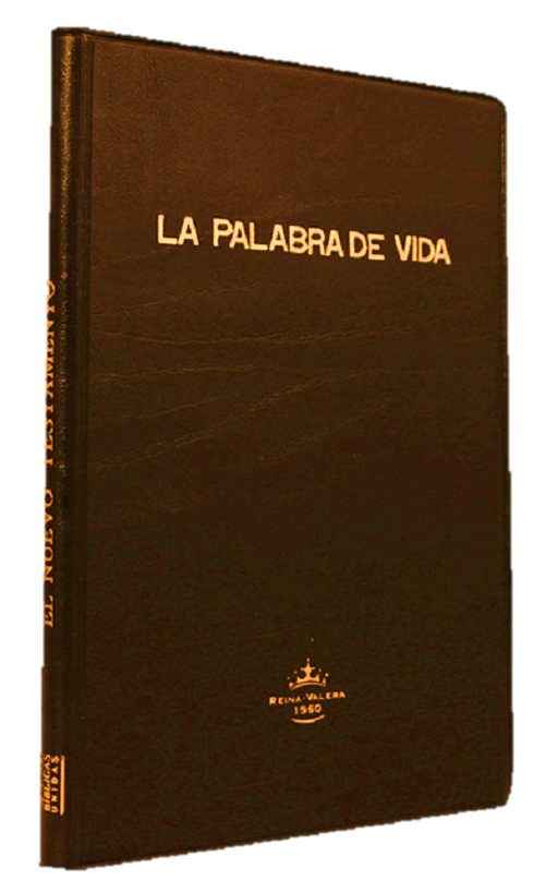 Nuevo Testamento Reina Valera 1960 Letra Grande Tapa Vinílica Café