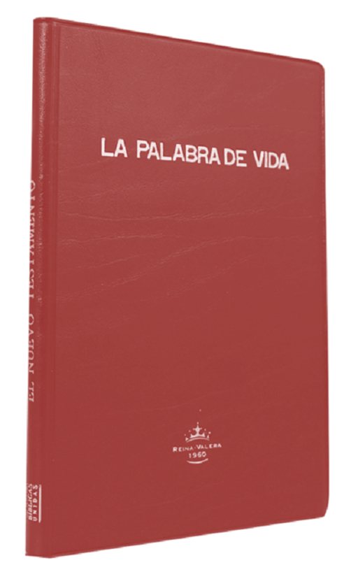 Nuevo Testamento Reina Valera 1960 Letra Grande Tapa Vinílica Bordo