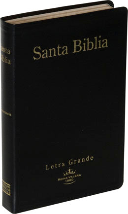 Biblia Reina Valera 1960 Letra Grande Concordancia Negro