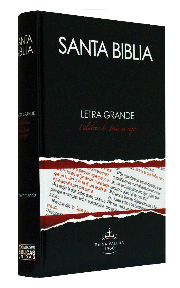 Biblia Reina Valera 1960 Letra Grande Concordancia Tapa Dura PJR Negro