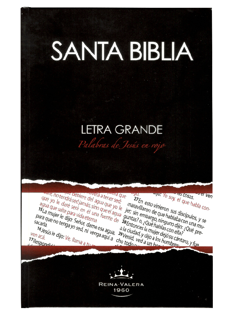 Biblia Reina Valera 1960 Letra Grande Concordancia Tapa Dura PJR Negro