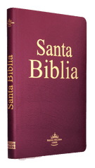 Biblia Grande Económica Covertex Reina Valera 1960