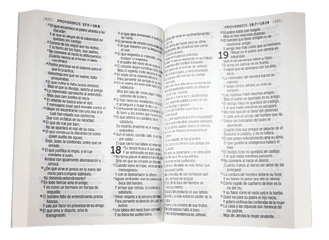 Biblia Reina Valera 1960 Letra Grande Tapa Cartulina