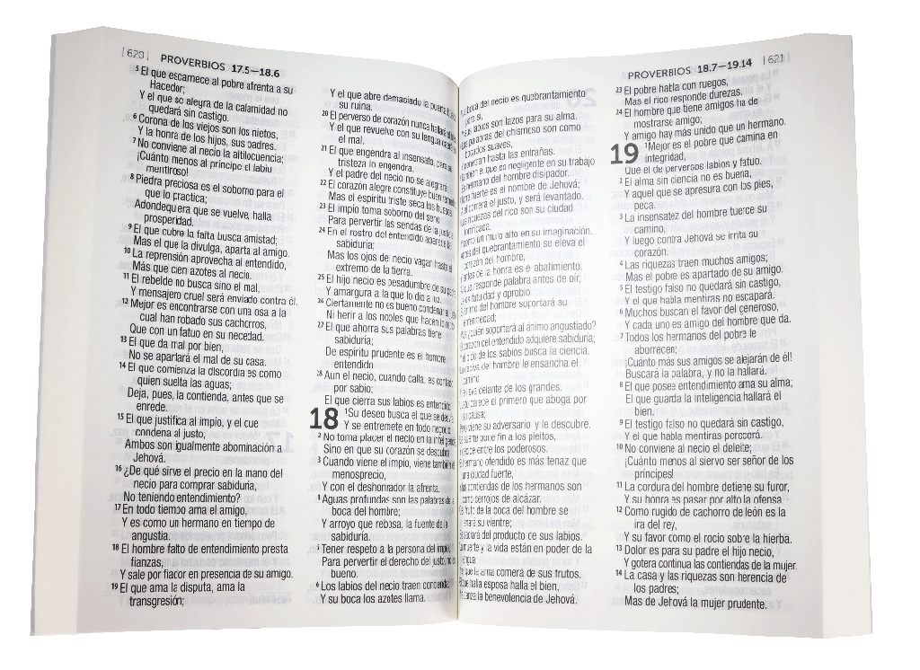 Biblia Reina Valera 1960 Letra Grande Tapa Cartulina