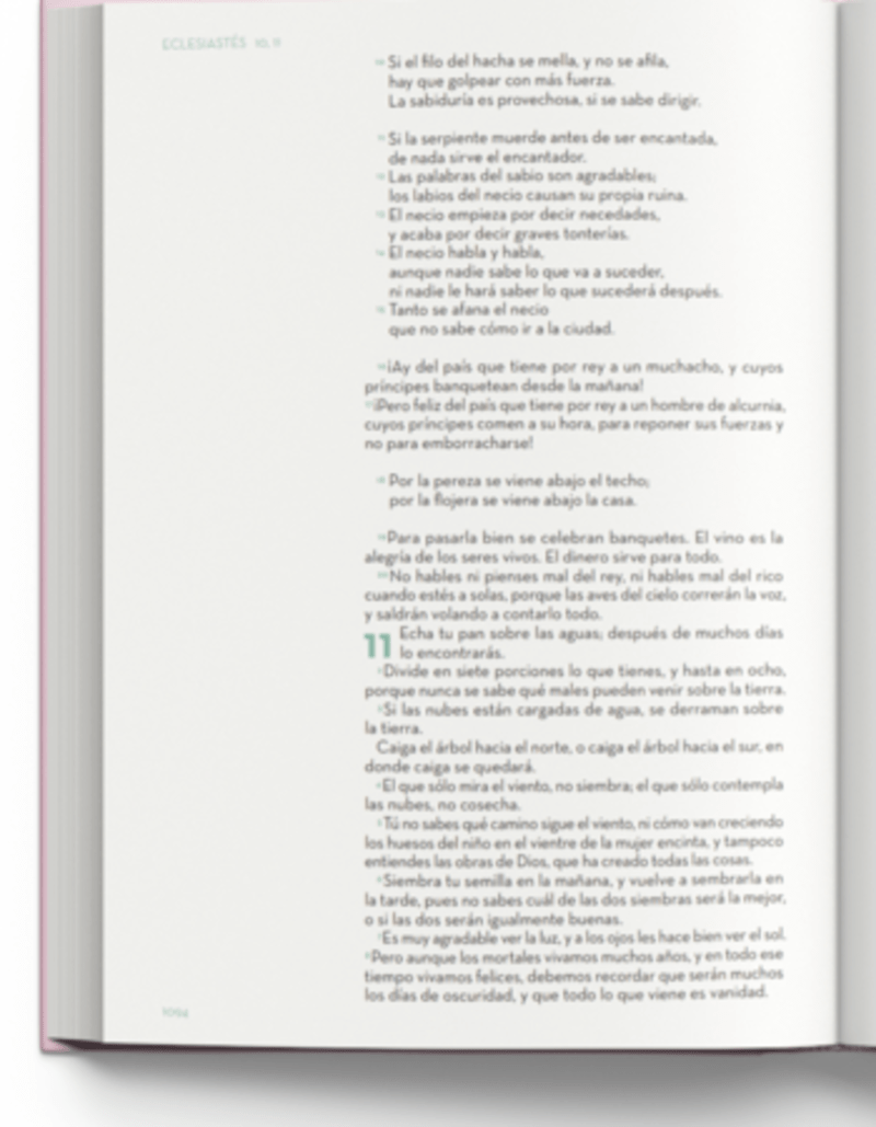 Biblia Reina Valera Contemporánea – Tapa Imitación Piel y Tela Lino y Rosa con Bolso Rosa, Concordancia, Palabras de Jesús en Rojo, 18 x 25 cm, Letra 12 Puntos
