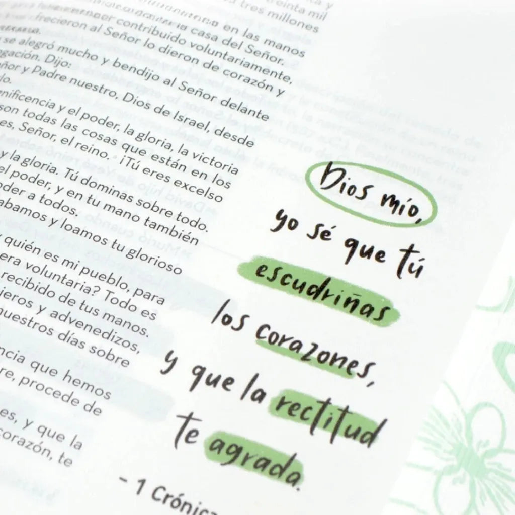 Biblia Devocional BibliArte · Reina Valera Contemporánea · Letra grande 12 puntos · Imitación piel color aqua + Bolso de regalo para transportarla