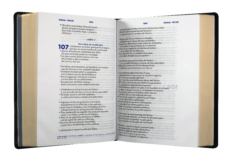 Biblia Pastoral Reina Valera Contemporanea Letra Grande Concordancia Tapa Fina PU