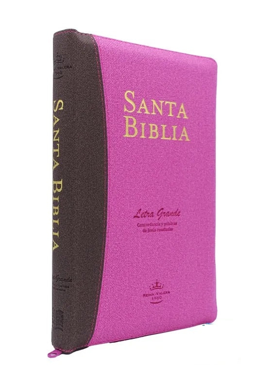 Biblia Reina Valera 1960 Letra Grande Conc. Cierre Palabra de Jesús en Cursiva Tapa Fina PU Fucsia Marron