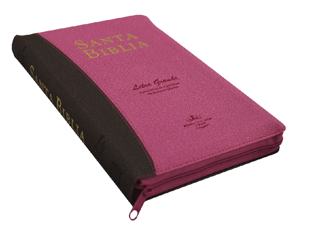 Biblia Reina Valera 1960 Letra Grande Conc. Cierre Palabra de Jesús en Cursiva Tapa Fina PU Fucsia Marron