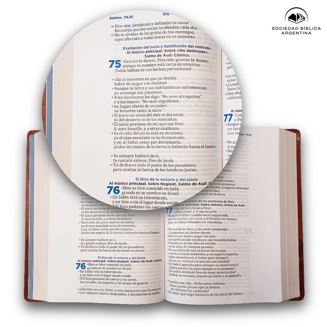 Biblia Pastoral Reina Valera Contemporanea Letra Grande Concordancia Tapa Fina PU Marron