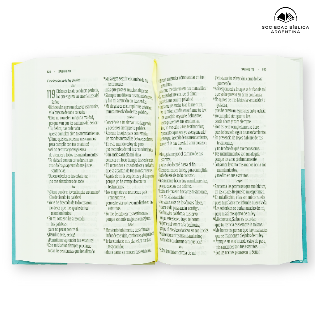 Biblia Reina Valera Contemporánea Letra Gigante Tapa Dura Colores