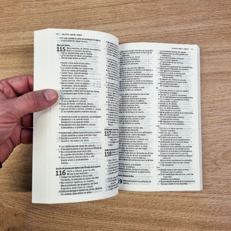 Biblia Reina Valera 1960 Flores Rosas, Letra 9 Pts - Caja cerrada de 40 unidades