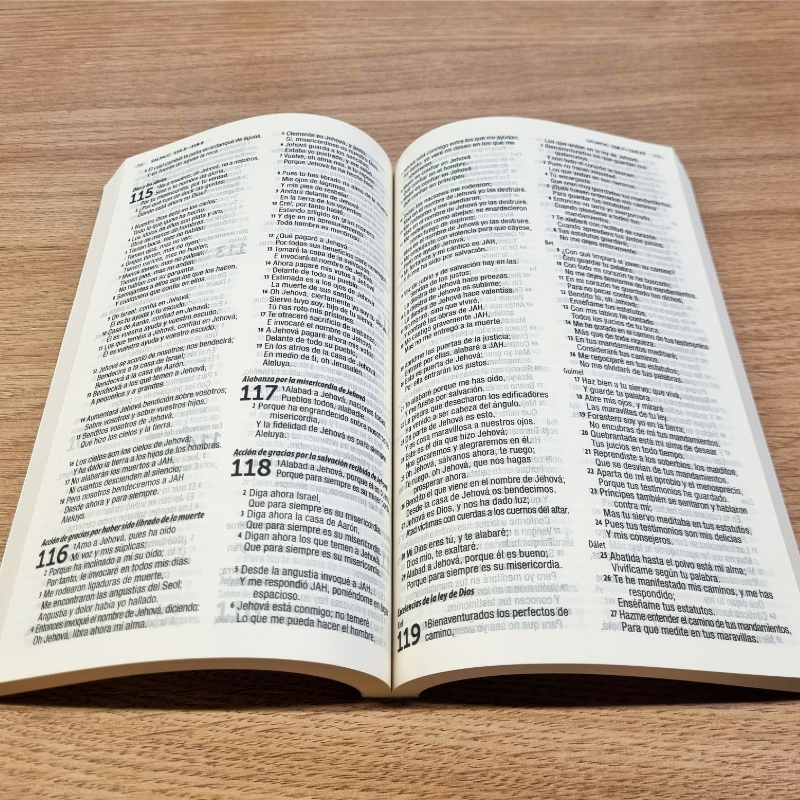 Biblia Reina Valera 1960 Flores Rosas, Letra 9 Pts - Caja cerrada de 40 unidades