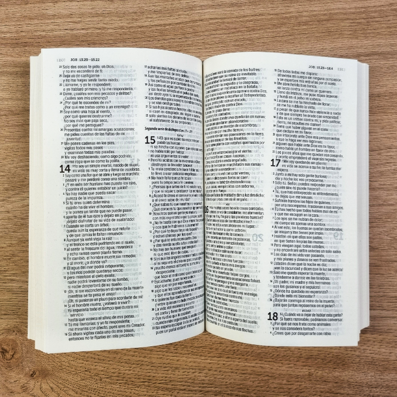 Biblia Dios Habla Hoy (DHH) Juvenil Olas con Mapas - Caja cerrada de 40 unidades