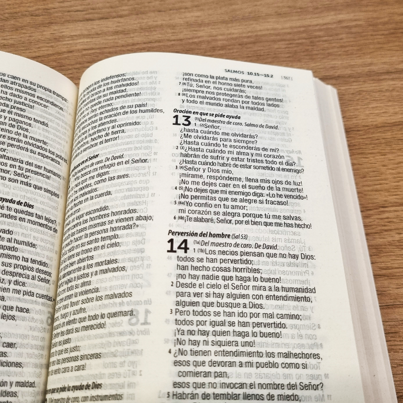 Biblia Dios Habla Hoy (DHH) Juvenil Olas con Mapas - Caja cerrada de 40 unidades