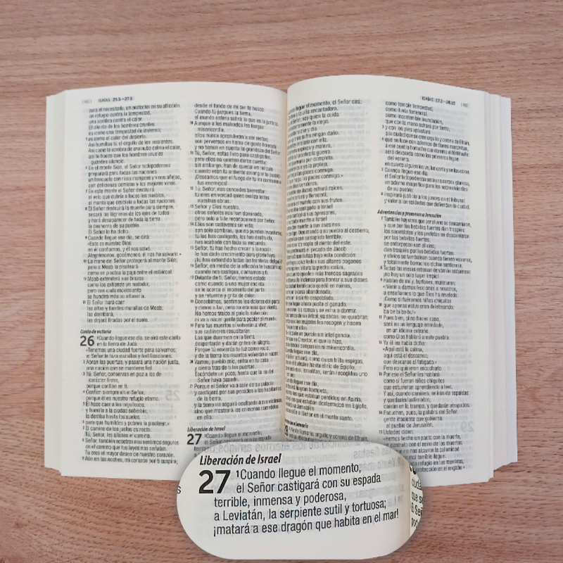 Biblia Dios Habla Hoy (DHH) Flores Rosa con Mapas - Caja cerrada de 40 unidades