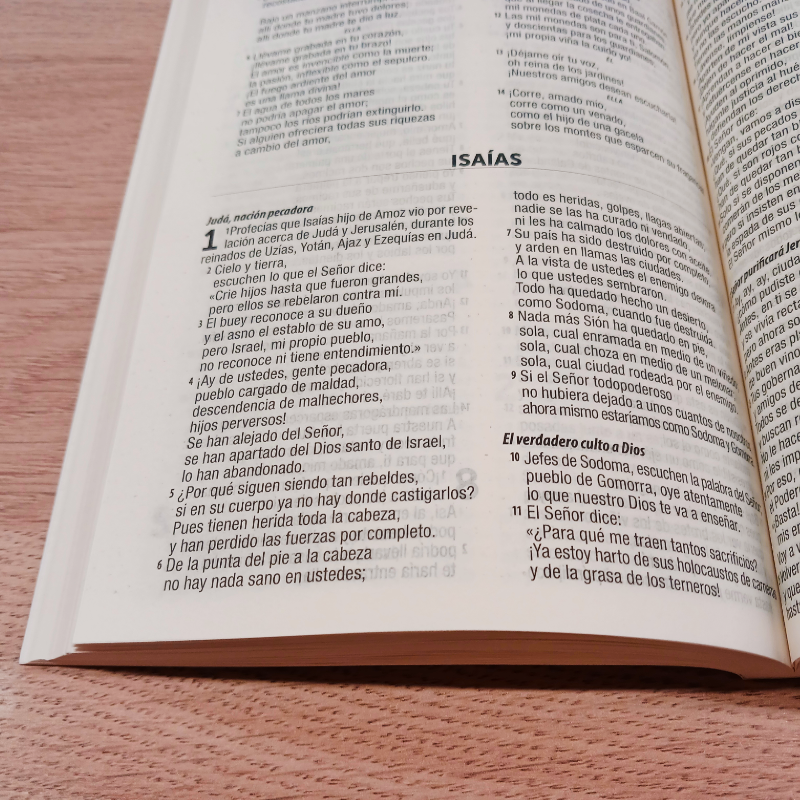 Biblia Dios Habla Hoy (DHH) Flores Rosa con Mapas - Caja cerrada de 40 unidades