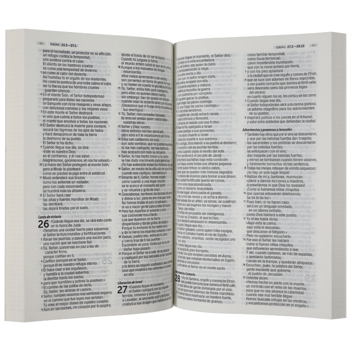 Biblia 1M Económica Dios Habla Hoy – Tapa Cartulina Rosa Flores, 14 x 21 cm, Letra 9 Puntos
